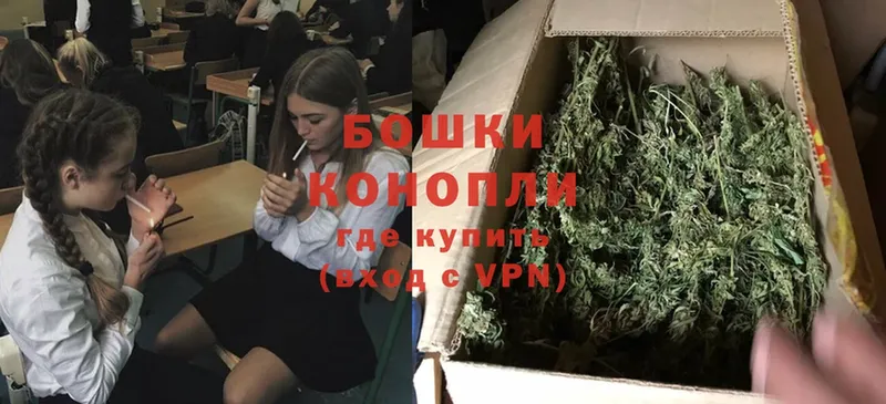 цена   Ардатов  Бошки марихуана Ganja 